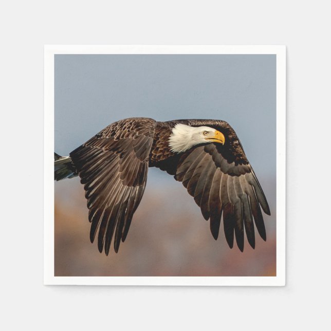Serviettes En Papier Bald Eagle en vol (Devant)