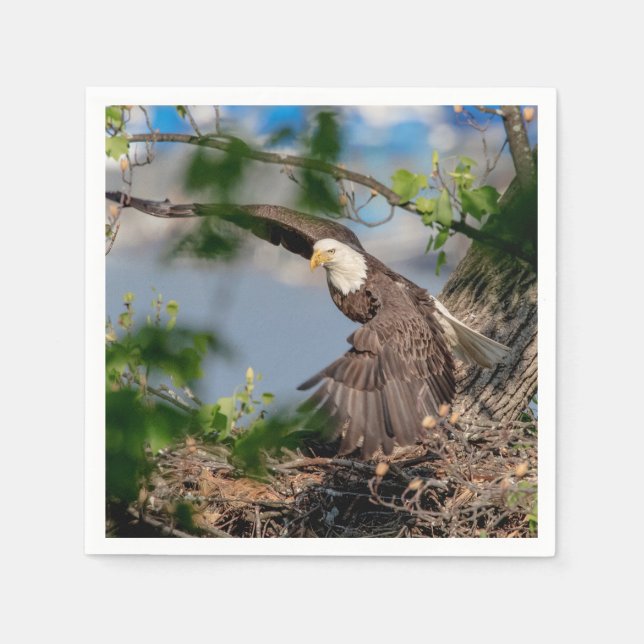 Serviettes En Papier Bald Eagle quittant le nid (Devant)
