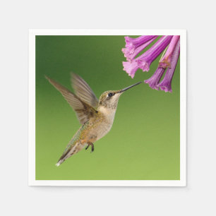 Serviettes En Papier Beau paysage de nature de colibri