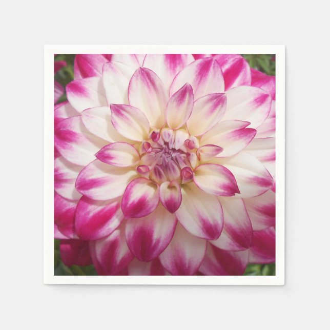 Serviettes En Papier Beaux (Devant)