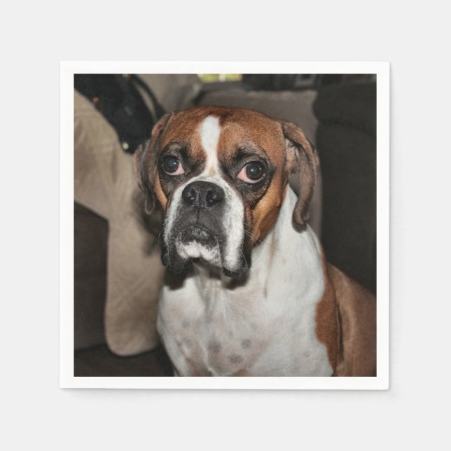 Serviettes En Papier Boxer (Devant)