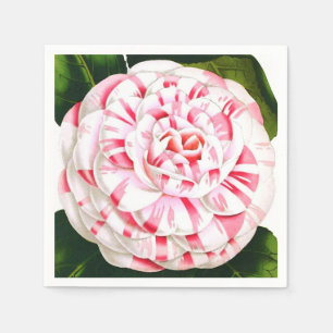 Serviettes En Papier Camélia rayé de sucre de canne