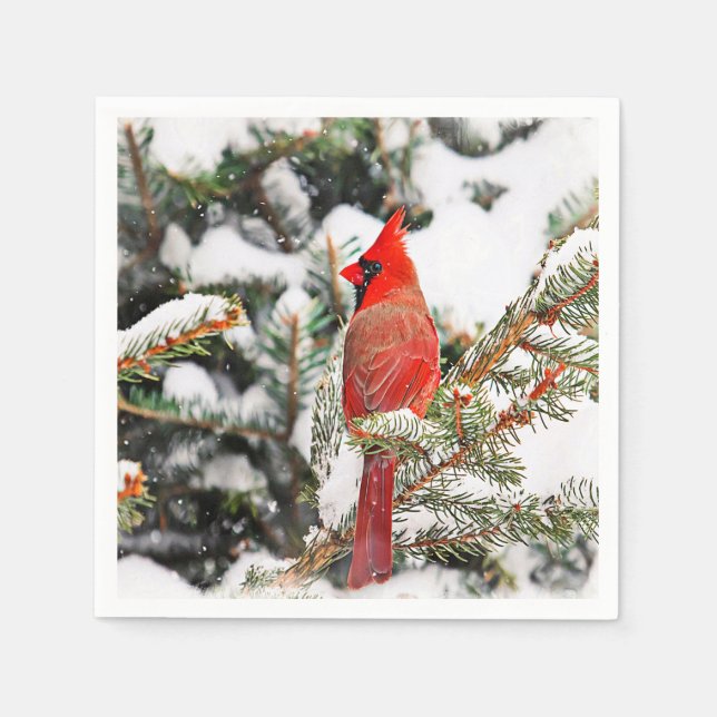 Serviettes En Papier Cardinal dans un pin (Devant)