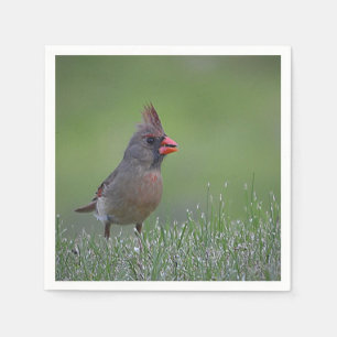 Serviettes En Papier Cardinal Napkin