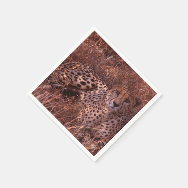 Serviettes En Papier Cheetah Stare (Coin)