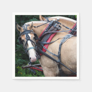 Serviettes En Papier Cheval 387