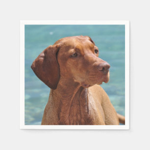 Serviettes En Papier Chien magyar de Vizsla