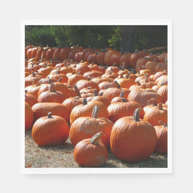 Serviettes En Papier Citrouille Patch Automne Harvest Photographie (Devant)