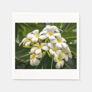 Serviettes En Papier Cocktail Napkin sur l'île exotique de Plumeria