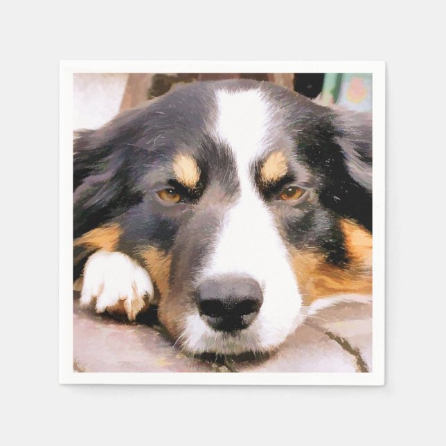 SERVIETTES EN PAPIER COLLIE FRONTALIÈRE (Devant)