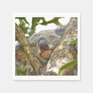 Serviettes En Papier Cute Koala Bear Napkins