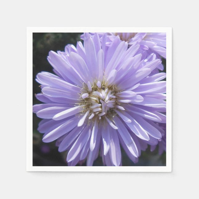 Serviettes En Papier Cyrène (Devant)