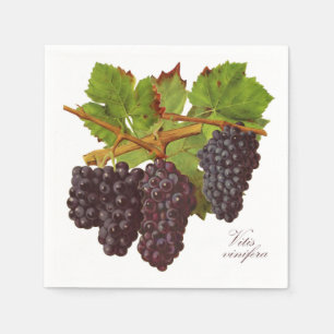 Serviettes en papier de raisins pourpres botanique