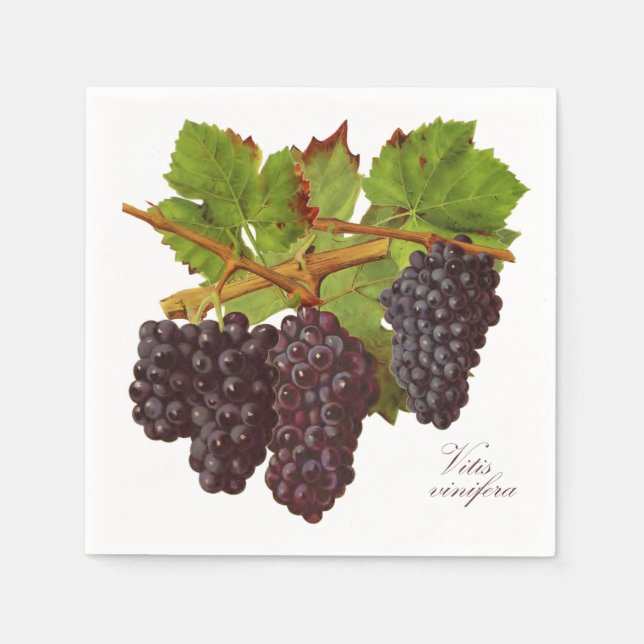 Serviettes en papier de raisins pourpres botanique (Devant)