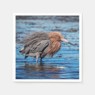 Serviettes En Papier Egret rouge sur North Beach