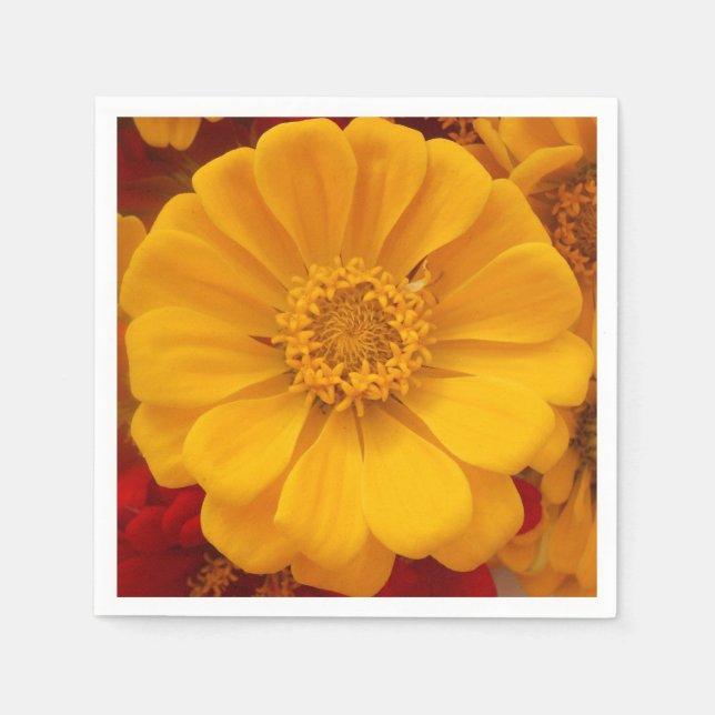 Serviettes En Papier Emmer (Devant)