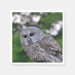 Serviettes En Papier Esprit Du Chou