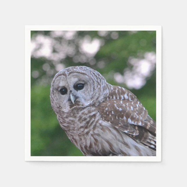 Serviettes En Papier Esprit Du Chou (Devant)