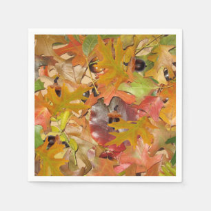 Serviettes En Papier Feuille et glands de chute