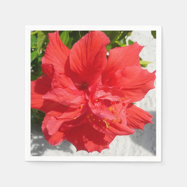 Serviettes En Papier Fleur double hibiscus rouge (Devant)