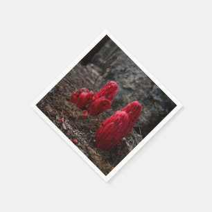 Serviettes En Papier Fleurs de neige