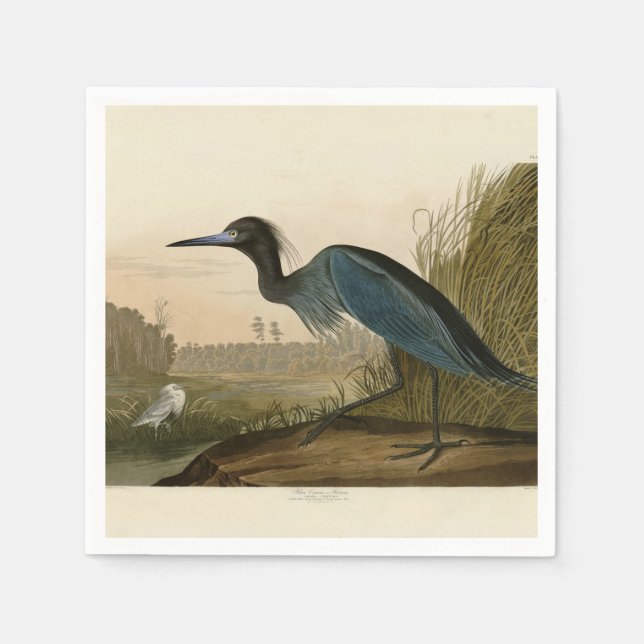 Serviettes En Papier Grue Bleue Heron Audubon Peinture (Devant)
