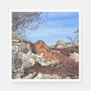 SERVIETTES EN PAPIER HARE