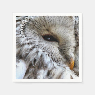 SERVIETTES EN PAPIER HIBOU