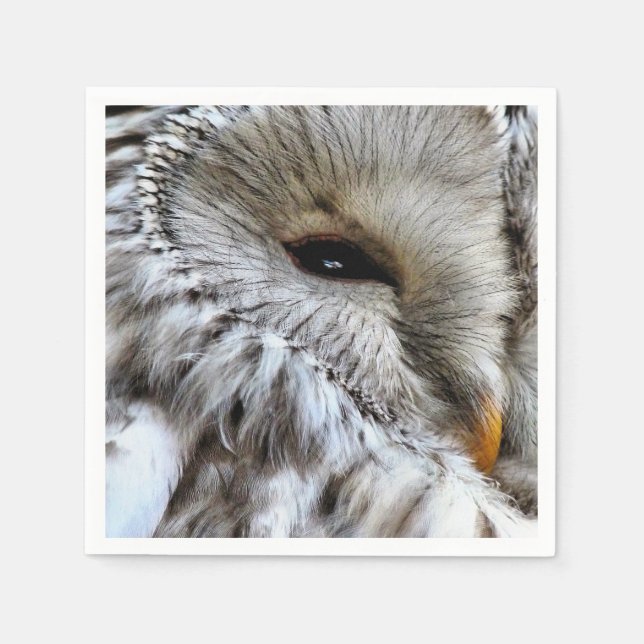 SERVIETTES EN PAPIER HIBOU (Devant)