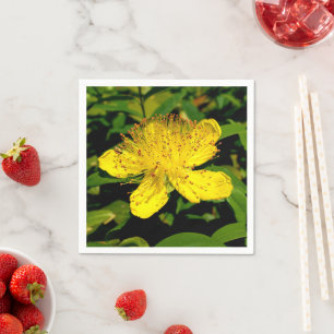 serviettes en papier Hypericum calycinum