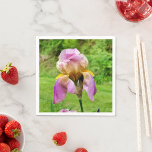 Serviettes En Papier Iris Pâtés