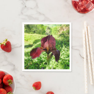 Serviettes En Papier Iris Pâtés