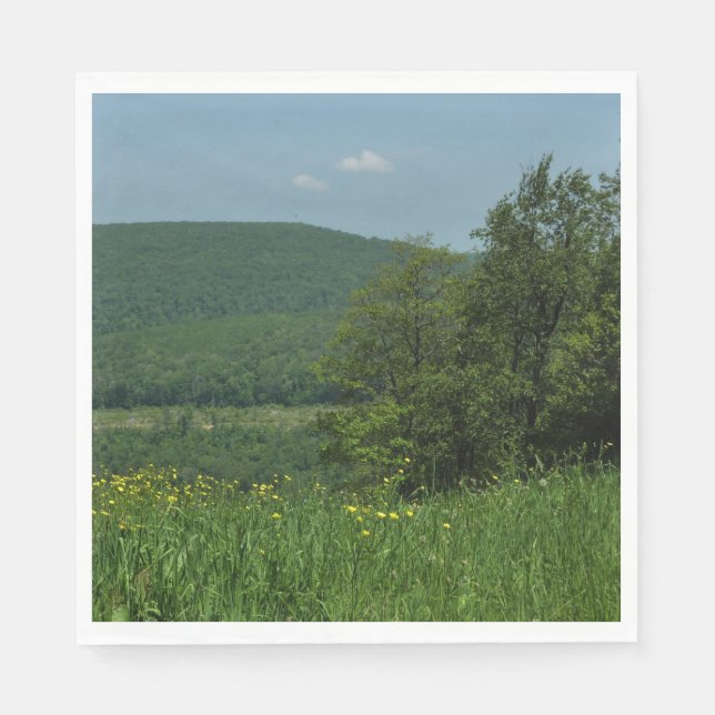 Serviettes En Papier Laurel Highlands Pennsylvania Summer Photography (Devant)