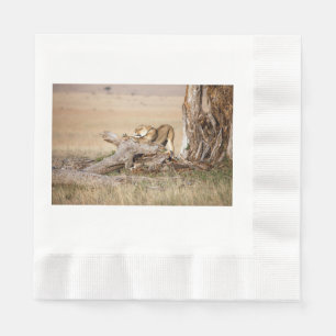 Serviettes En Papier Lioness stretching