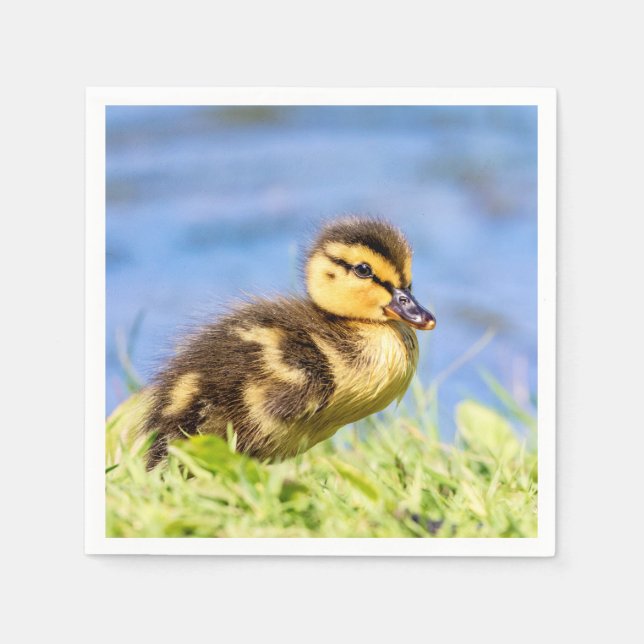 Serviettes En Papier Mallard Duckling (Devant)