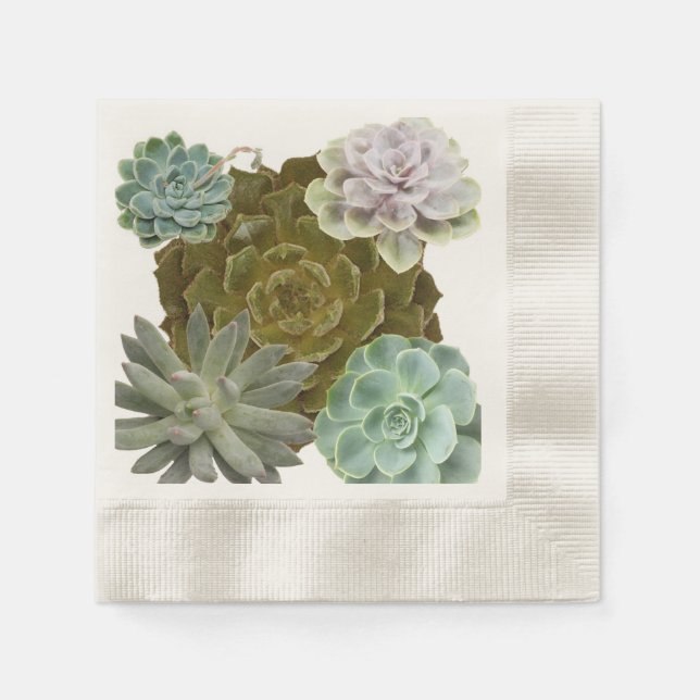 Serviettes En Papier Mariage de jardin d'été, Poules et poussins, Succu (Devant)