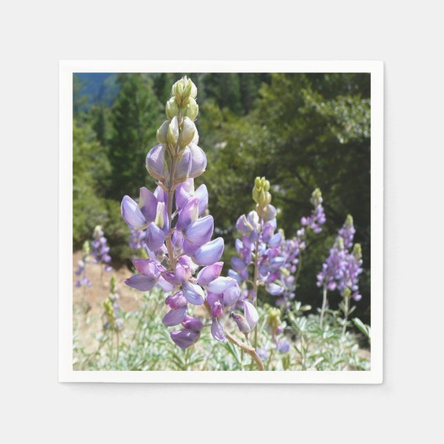 Serviettes En Papier Mont Lupins (Devant)