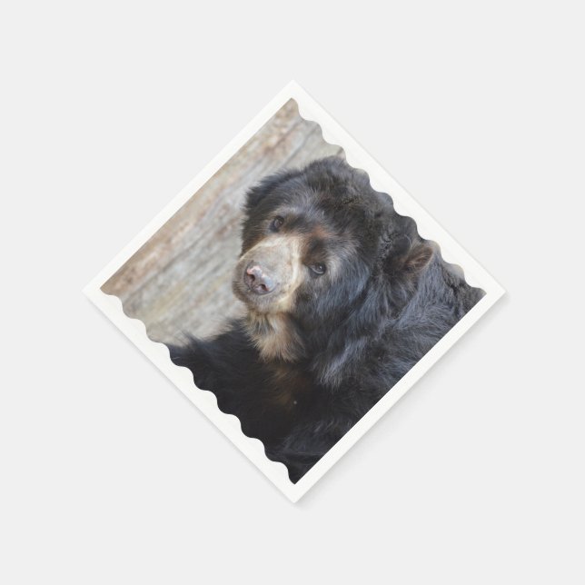 Serviettes En Papier Ours noir adorable (Coin)