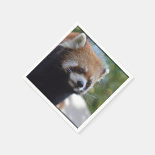 Serviettes En Papier Ours panda rouge doux