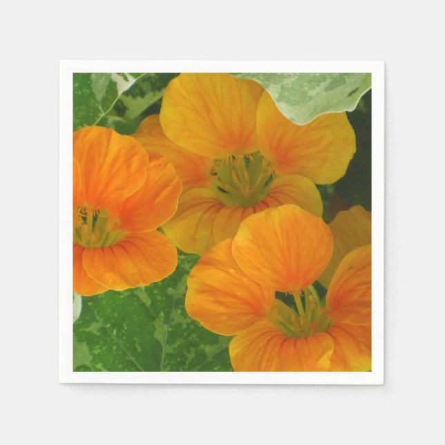 Serviettes En Papier Papier Nasturtium brillant (Devant)
