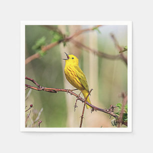 Serviettes En Papier Paruline jaune chante