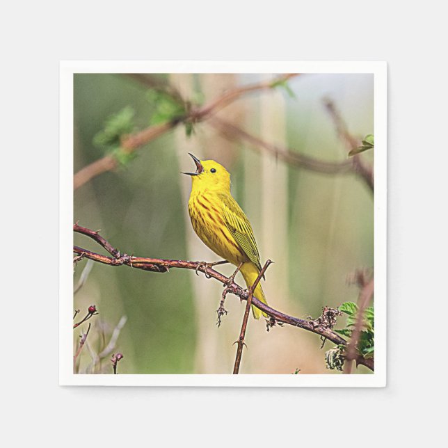 Serviettes En Papier Paruline jaune chante (Devant)