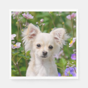 Serviettes En Papier Photo crème à cheveux longs mignonne de chiot de