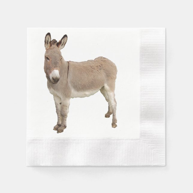 Serviettes En Papier Photo de Burro à Donkey Cute (Devant)