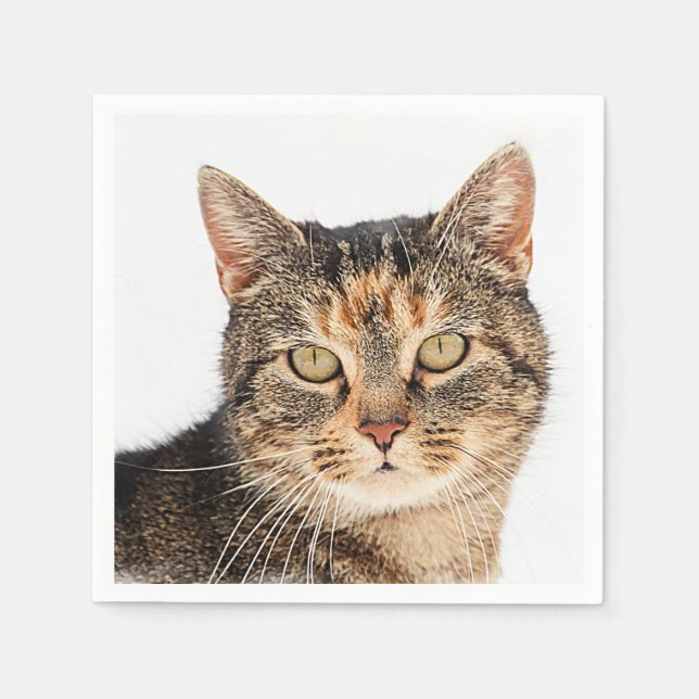 Serviettes En Papier Portrait d'un chat (Devant)