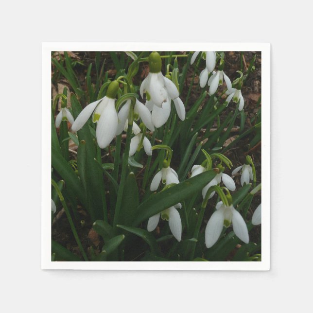 Serviettes En Papier Snowdrops I (Devant)