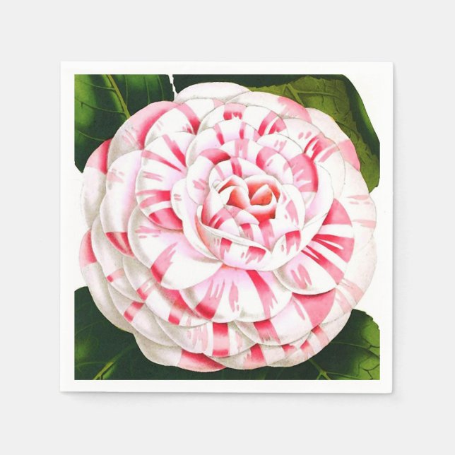 Serviettes En Papier Sucre de canne rayé camélia (Devant)