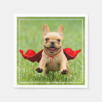 Superhero de chien taureau français mignon tourne