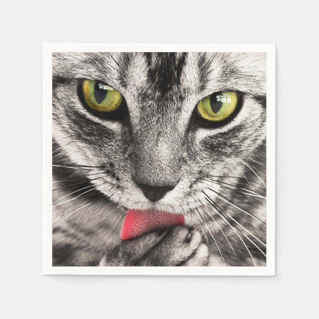 Serviettes En Papier tabby (Devant)