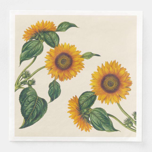 Serviettes En Papier Tournesols Dîner Taille Papier Naples (Devant)